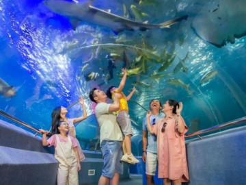 Bảo tàng Hải Dương Học Nha Trang - Đại dương thu nhỏ tuyệt đẹp giữa lòng thành phố