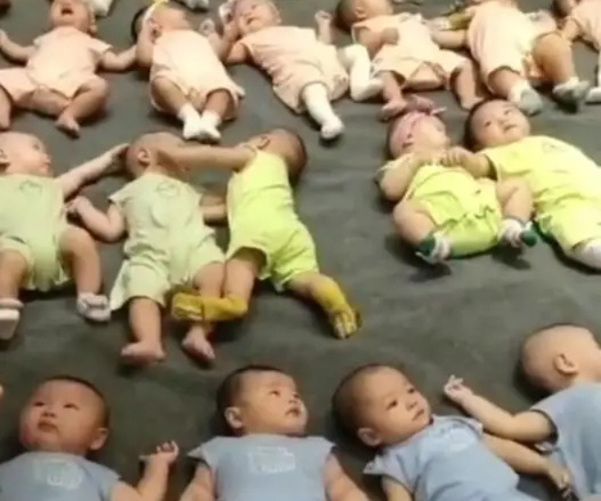 Các thành viên mới sinh trong gia tộc đều là… nam giới.