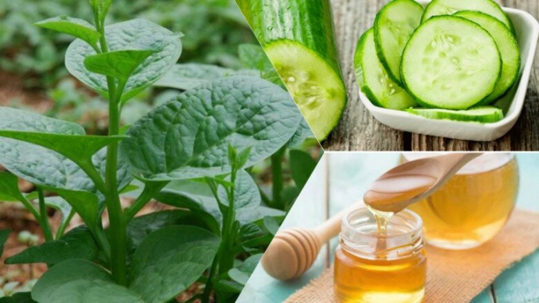 Những nguyên liệu đơn giản như mồng tơi, mật ong, dưa chuột có thể dưỡng sáng da.