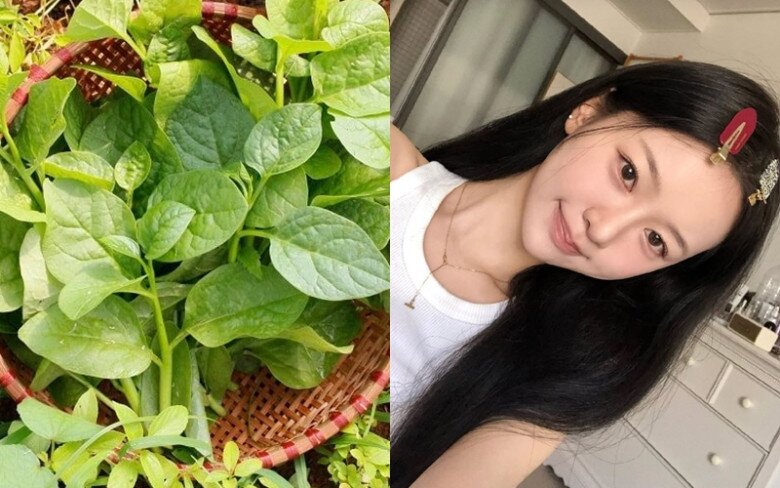 Ăn mồng tơi giúp nuôi dưỡng tóc từ bên trong, giúp tóc chắc khỏe, giảm gãy rụng.