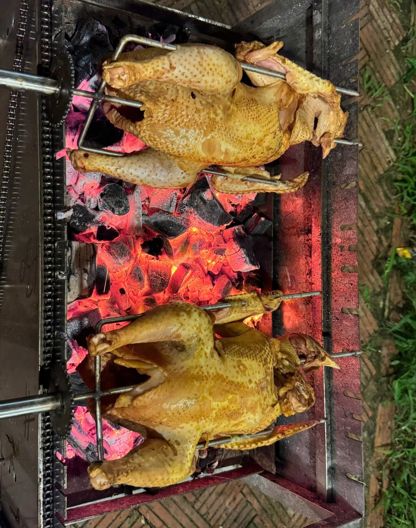 Đặc sản amp;#34;gà mọc râuamp;#34; trên đảo hoang sơ ở Quảng Ninh, da vàng giòn, thịt thơm nức - 6
