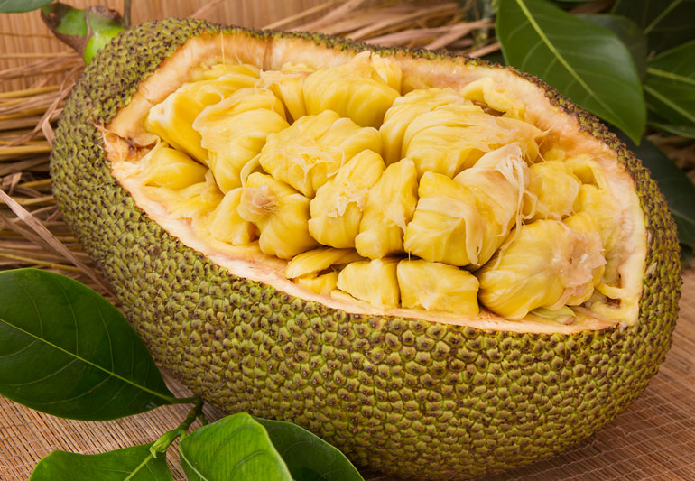 Dù hàm lượng calo của mít không thấp nhưng nếu ăn vừa phải có thể giúp hỗ trợ giảm cân nhờ khả năng giúp no lâu và không chứa chất béo bão hòa.