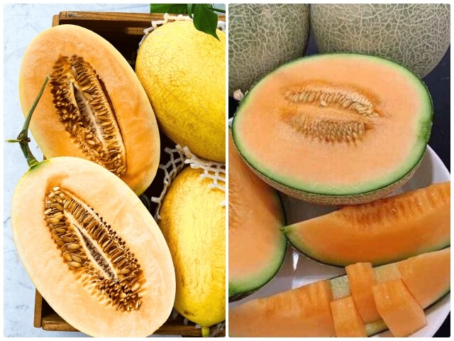 Chọn dưa lưới hay bị dính quả nhạt, người nông dân mách 5 điều này mua 100 quả cũng ngon ngọt như nhau
