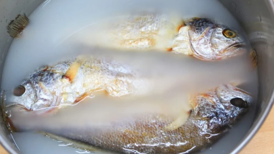 5 món canh chua cá ngon amp;#34;hết nước chấmamp;#34; lại thanh mát, không tanh quá hợp ngày hè - 2