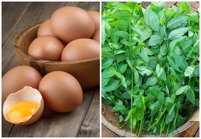 Cây này chỉ ăn lá, vitamin C gấp 45 lần rau thường, nấu canh hay luộc đều rất mát, được ưa chuộng vào mùa hè - 2