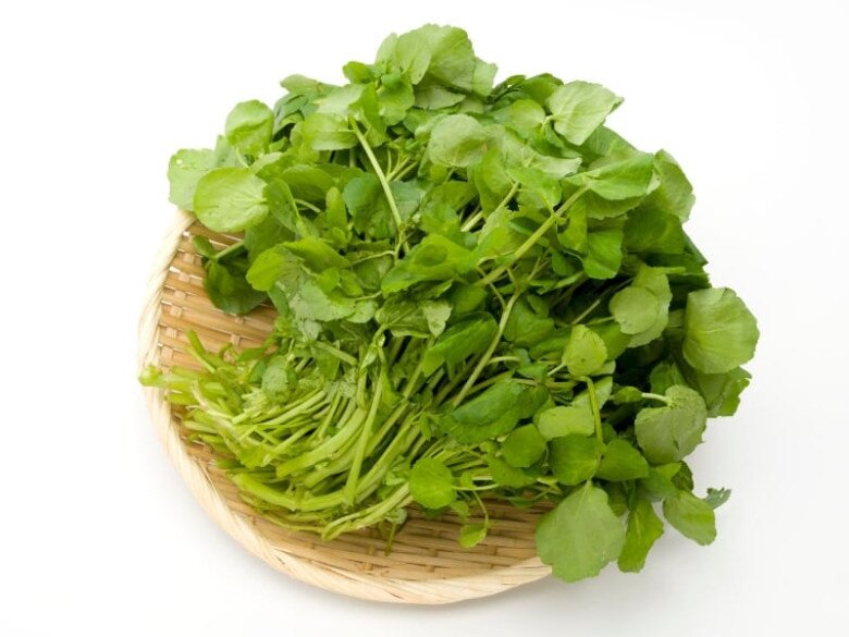 Cây này ở Việt Nam không chăm cũng lớn, được Mỹ đánh giá là rau tốt nhất thế giới, đem xào tỏi hay nhúng lẩu ngon mê - 2