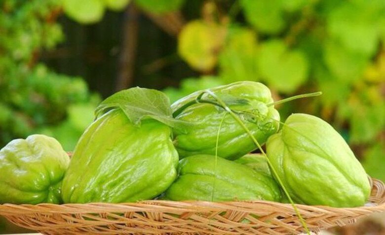 Loại quả là amp;#34;ngân hàng kẽmamp;#34; xào hay luộc đều ngon, mẹ bầu thường xuyên bổ sung cực tốt - 2