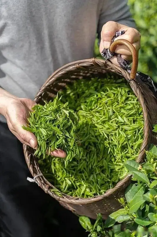 Đừng chỉ nấu cơm bằng nước lọc như thường nữa! Chỉ cần thêm một nắm nhỏ này, cơm thơm đến mức hàng xóm cũng phải gõ cửa amp;#34;xin ănamp;#34; - 1
