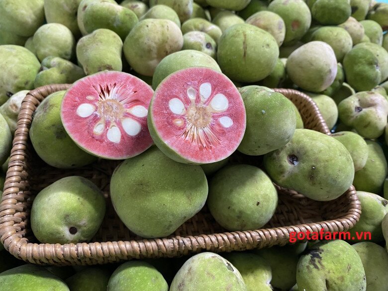 Loại quả xưa chín rụng đầy không ai ngó ngàng, nay thành đặc sản dân thành phố thích mê vì vị lạ, đem kho cá siêu ngon - 1