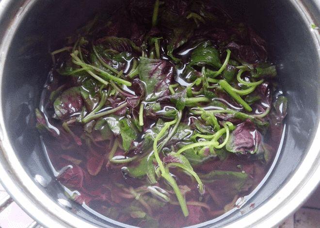 Loại rau có axit folic gấp 46 lần dưa chuột, mệnh danh là amp;#34;rau trường thọamp;#34;, đem xào tỏi thôi cũng ngon - 3