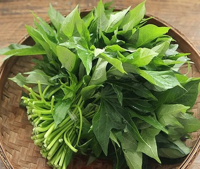 Loại rau xưa chỉ cho lợn ăn, nay thành đặc sản được ưa chuộng ở thành phố, xào hay làm bánh đều ngon - 1