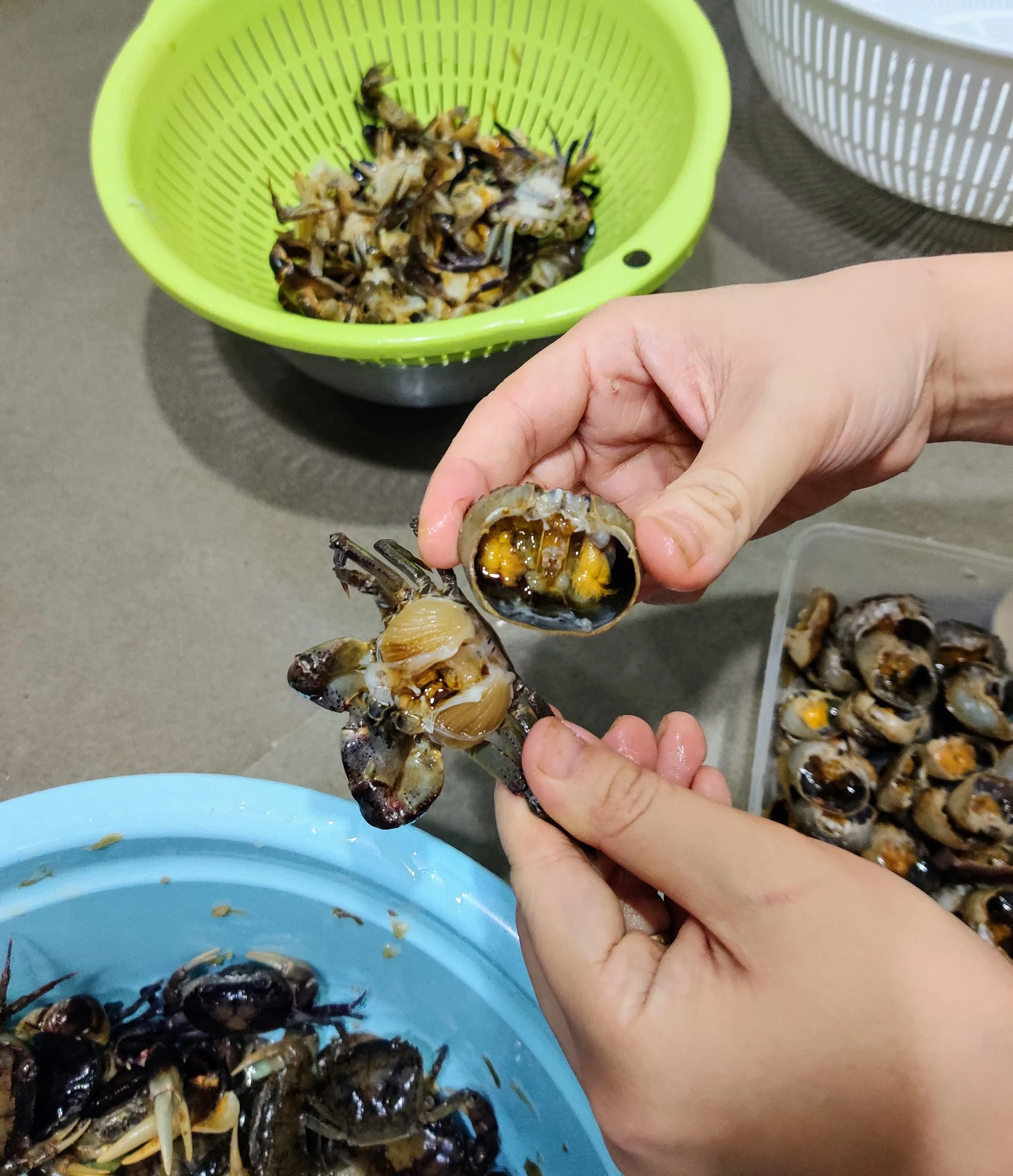 Mua cua đồng về chớ dại nấu luôn, ngâm ngay vào thứ nước này, giun sán trong cua phải bò ra hết mới yên tâm - 2