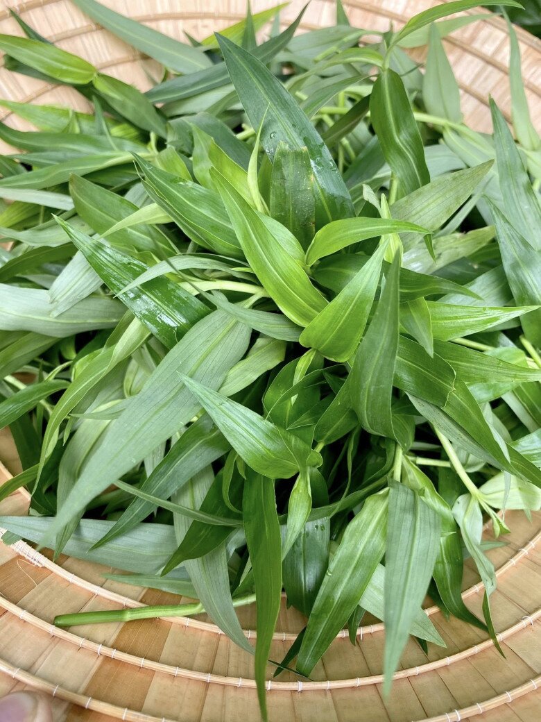 Rau dại mọc bờ mọc bụi nay thành đặc sản có tiền chưa chắc đã mua được đem xào tỏi được món cực ngon - 1