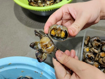 Mua cua đồng về chớ dại nấu luôn, ngâm ngay vào thứ nước này, giun sán trong cua phải bò ra hết mới yên tâm