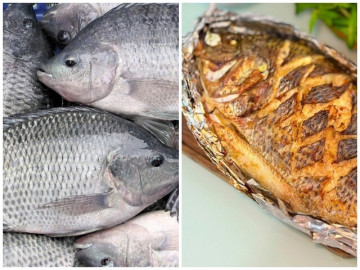 Loại cá dân dã của Việt Nam được ví như cá hồi thịt trắng, đạm gấp 7 lần sữa, chế biến kiểu này ngon không thừa một miếng