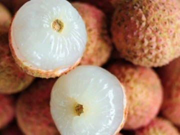 Vải đang bán đầy chợ, nhìn vào chỗ này biết ngay quả nào bị sâu đầu, đọc rồi nhớ báo mọi người ngay nhé
