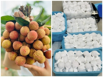 Vải mua về vài hôm là thâm vỏ, học mẹ đảm làm theo cách này để vài tháng vẫn tươi ngon, thích ăn là có