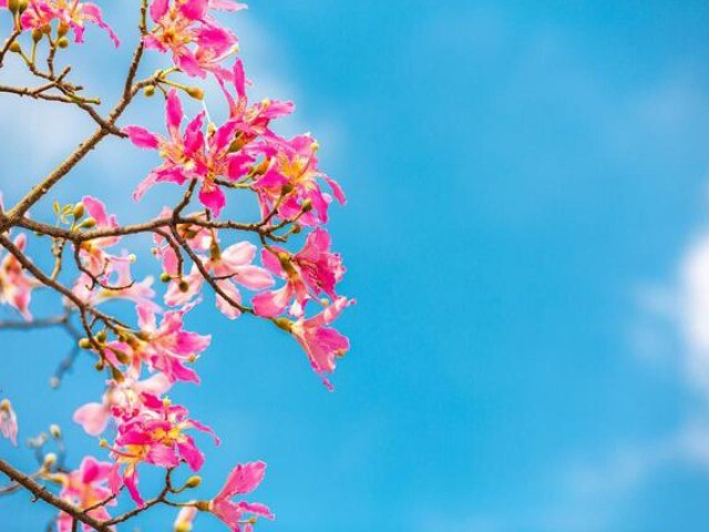 Dù mối quan hệ nào, người càng khôn ngoan càng hiểu rõ 4 điều tối kỵ