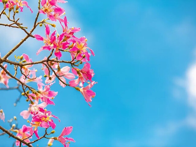 Dù mối quan hệ nào, người càng khôn ngoan càng hiểu rõ 4 điều tối kỵ