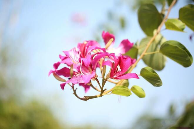 2 chữ này là dấu hiệu của một cuộc đời ngày càng thuận lợi, có nhiều phước lành - 2