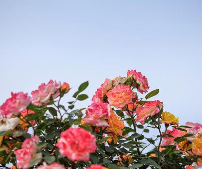 Dấu hiệu một người phụ nữ đang trở nên quyền lực hơn gói gọn trong 2 chữ này - 1