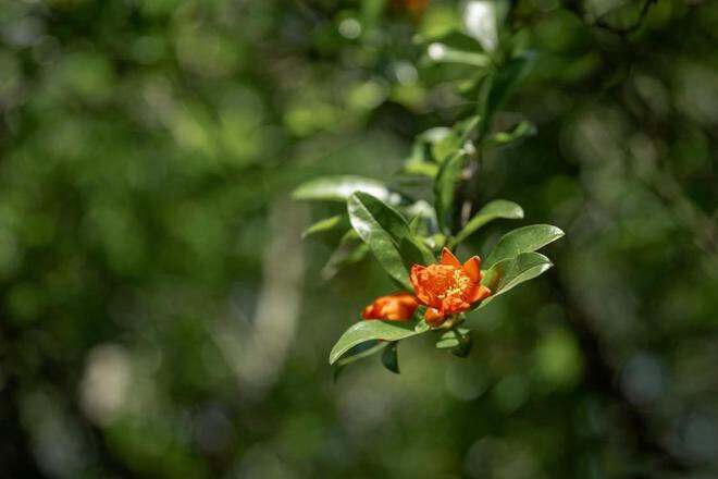 Dấu hiệu một người phụ nữ đang trở nên quyền lực hơn gói gọn trong 2 chữ này - 2