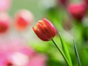 Eva tám - Biết tránh xa 2 chữ này, 9 phần 10 là người khôn ngoan, sáng suốt