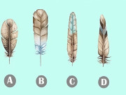 Eva tám - Trắc nghiệm: Chọn một chiếc lông vũ theo trực giác