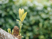 Eva tám - Người có thể làm điều này rất trưởng thành, không hề đơn giản