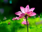 Nếu ai đó cô lập bạn, nhớ điều này và bạn sẽ chiến thắng