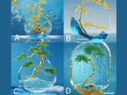 Eva tám - Trắc nghiệm tâm lý: Chọn một bức hình theo trực giác