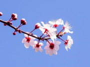 Eva tám - Người tương lai ắt sẽ giàu có 3 điểm không thể che giấu