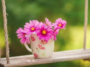 Eva tám - Người càng rộng lượng, càng đón nhiều phước lành
