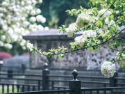 Eva tám - Người khôn ngoan có 3 điều giữ kín, kẻ dại lại rất thích khoe