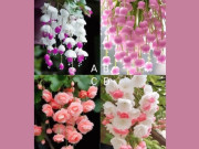 Eva tám - Trắc nghiệm tâm lý: Điều gì giúp khí chất của bạn bừng sáng ở tuổi trung niên?