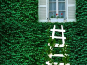 Eva tám - Những người không vội vã thực sự rất khôn ngoan, không hề đơn giản