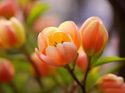 Eva tám - Phụ nữ tỉnh táo trong 3 điều này chứng tỏ không hề đơn giản, rất đáng nể