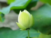 Eva tám - Người khôn ngoan có 3 điều nhất định nói “không”, kẻ dại lại thường hay nói “có”