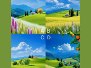 Eva tám - Trắc nghiệm tâm lý: Chọn một khung cảnh yên bình theo trực giác