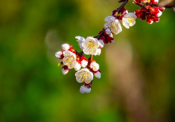 Người có 4 thói quen này ngày càng trẻ trung, quyến rũ bất chấp tuổi tác - 2