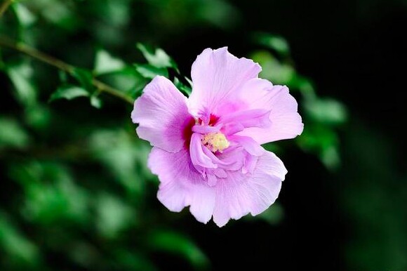 Người có 4 thói quen này ngày càng trẻ trung, quyến rũ bất chấp tuổi tác - 3