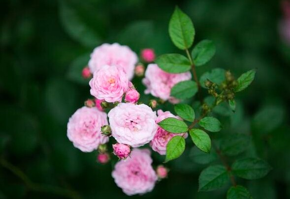 Người có 4 thói quen này ngày càng trẻ trung, quyến rũ bất chấp tuổi tác - 4