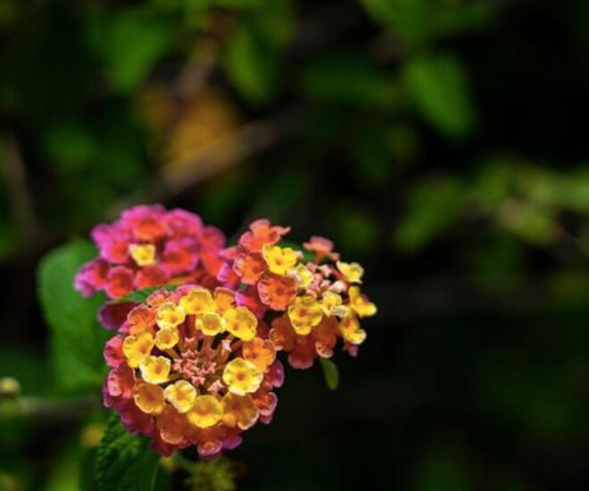 Người có 4 thói quen này ngày càng trẻ trung, quyến rũ bất chấp tuổi tác - 1