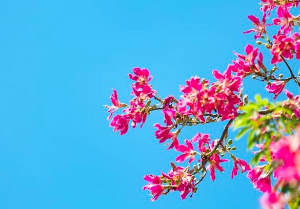 Sự khôn ngoan lớn nhất gói gọn trong một chữ này - 4