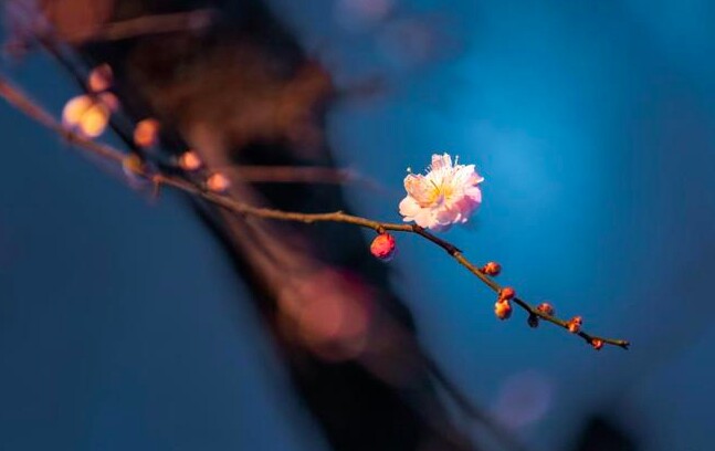 Với người đã giúp đỡ bạn, đừng chỉ mời họ ăn một bữa hay tặng một món quà, 3 cách báo đáp này mới là khôn ngoan - 2