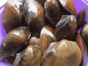 Món ăn bài thuốc dùng cho người huyết áp cao