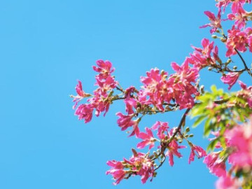 Sự khôn ngoan lớn nhất gói gọn trong một chữ này