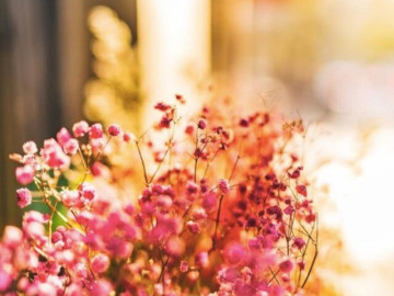 Phụ nữ có 3 thói quen này không đơn giản, thực sự rất khôn ngoan