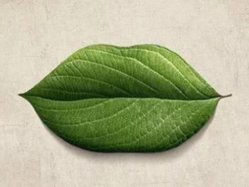 Trắc nghiệm tâm lý: Bạn thấy gì trong hình ngay từ giây đầu tiên?