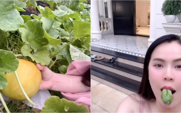Hoa hậu Phương Lê, một trong những người đẹp nổi bật của làng giải trí Việt Nam